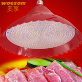 奥享led猪肉灯生鲜灯LED30W超市灯烧腊熟食灯照肉灯蔬菜水果灯