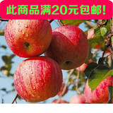 新疆阿克苏 红旗坡冰糖心苹果树苗 新鲜水果 脆 甜大型苹果苗包邮