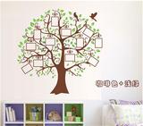 学校教室布置照片树创意墙贴纸 公司企业办公室文化墙装饰相片贴