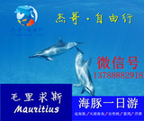毛里求斯杰哥自由行：快艇追海豚天涯海角自然桥蓝湾一日自由行
