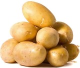 新鲜土豆2015年黄土豆农家自种老品种洋芋马铃薯蔬菜批发5斤包邮