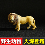 野生动物l园仿真玩具模型实心摆件4-5-6-7男孩女孩3d雄狮狮子Lion