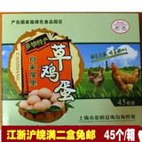 崇明森林散养鸡蛋草鸡蛋土鸡蛋笨鸡蛋礼盒崇明特产45枚装特价包邮