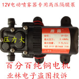 12V微型水泵 隔膜水泵 洗车高压泵 电动喷雾器泵  高压力 包邮