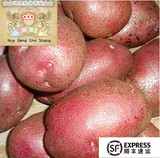 【华灯商城】有机蔬菜内蒙有机红皮土豆500g/包 新鲜蔬菜 马铃薯