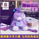 澳洲薰衣草小熊正品毛绒玩具泰迪熊公仔紫色礼品生日礼物可加热