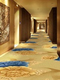 特价 工程满铺印花地毯 酒店大堂、家用客厅
