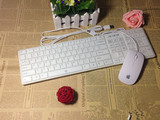 超薄巧克力苹果有线键盘鼠标 有线苹果键鼠套装 办公/家用首选