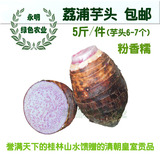 【天天特价】5斤有6-7个 正宗广西 荔浦芋头 优质 绿色 新鲜 芋头