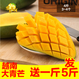 【农誉】越南进口大青芒5斤装热带水果新鲜大芒果厦门青芒果包邮