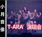 韩国性感美女团T-ARA高清MV汽车车载DVD碟片流行歌曲非DJ舞曲