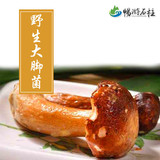 重庆土特产石柱黄水野生新鲜大脚菌蘑菇 牛肝菌干货味道香浓150g