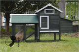 户外木质鸡笼绿色兔笼鸡舍小型猫笼荷兰猪鸽子笼鸟笼木制兔屋027