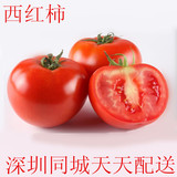 精选新鲜西红柿1斤 深圳同城蔬菜配送 （保证新鲜）