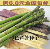 芦笋种子世界十大名菜之一 “蔬菜之王" 石刁柏种子 绿紫白3色