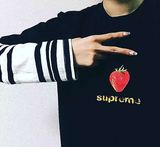 杜西出品！2016爆款Supreme 春夏 草莓款男女情侣短袖T恤