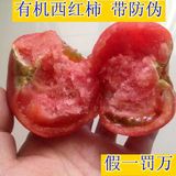 【国家有机认证】有机西红柿 自然熟新鲜蔬菜500g 有机肥 无农药