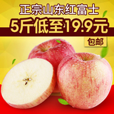 【鲜实多】正宗山东烟台红富士苹果5斤 新鲜天然栖霞水果脆甜包邮