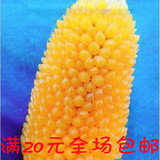进口特色菠萝水果玉米种子 四季黄宝黄色水果甜玉米种子 简单易种