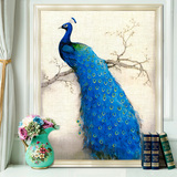 迷朗diy数字油画 客厅风景动物大幅花鸟数码填色手绘装饰画 孔雀
