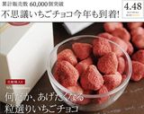 乐天高分好评产品!不可思议新体验~日本QUA草莓渗透巧克力 礼盒装