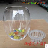 鹅蛋水培玻璃花瓶/透明宜家风格小水培器皿/水28元全国包邮