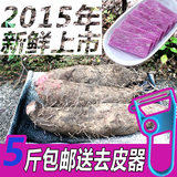 5斤包邮 温州特产新鲜 紫紫山药农家有机蔬菜 脚板薯无农药