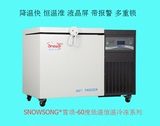 雪颂DW-60W/208冷冻冰箱卧式不锈钢冰箱特价冷藏小冰箱商用