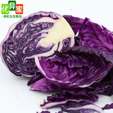 【优异家】有机新鲜蔬菜紫甘蓝 紫色卷心菜新鲜农产品满包邮800g