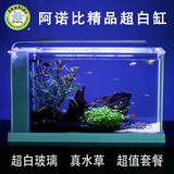 鱼缸水族箱小型阿诺比超白玻璃鱼缸造景真水草套餐静音生态小鱼缸