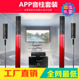 Shinco/新科 S1 5.1家庭影院音响套装客厅家用电视机音箱低音炮