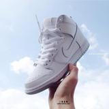 耐克Nike SB Dunk High Pro全白高帮男女经典运动板鞋305050 113