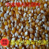 爆花小玉米特级小玉米粒爆米花专用原料 新货爆裂小玉米杂粮 500g