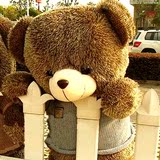 仔大熊泰迪熊玩具娃娃毛绒熊1.6米抱抱熊 圣诞节女生日礼结婚公物