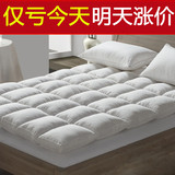 【天天特价】羽绒床垫加厚10cm酒店床褥可折叠双人褥子1.8特价包
