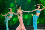 傣族舞蹈服民族演出服装 孔雀舞 葫芦丝表演服饰 鱼尾裙女装裙子