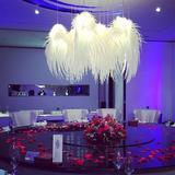 现代创意羽毛浪漫吊灯 餐厅客厅卧室酒店装饰工程天使之翼吊灯