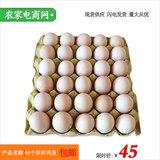 当天本地新鲜鸡蛋批发鸡场直供蛋鸡蛋开窝新鲜鸡蛋60个装包邮