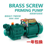 铸铁电动泵全自动家用螺杆自吸泵吸水泵增压泵1.5KW220V