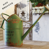 AP028 美式法式乡村复古做旧 铁艺超大洒水壶花瓶插画瓶 拍照道具