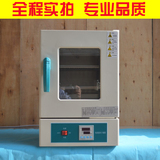 烘箱 鼓风干燥箱恒温箱烘干箱工业烤箱 食品药材挂面面条烘干机