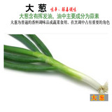 250g大葱、 青葱、四季葱广州珠三角蔬菜食材配送【51家园】