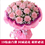 粉红色康乃馨花束母亲节送妈妈生日鲜花泰安鲜花同城速递肥城新泰