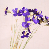 紫罗兰云南纯手工植物干花装饰花插花仿真假花束客厅餐桌花艺
