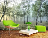 绿色自然阳光森林 3D立体风景 客厅沙发壁画 卧室沙发背景墙壁纸