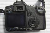 Canon/佳能EOS 50D套机 中级专业数码单反相机60D 70D 实拍图