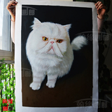 纯手绘宠物油画定制 猫咪动物肖像油画个性创意礼物订制送礼包邮