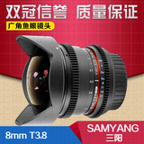 三阳samyang新款 8mm T3.8 鱼眼镜头 视频电影镜头 佳能NEX