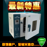 电热恒温干燥箱 101、202系列电热鼓风干燥箱 高温烘箱 烘干箱