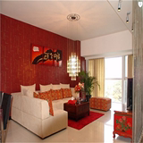 红色地毯 家用客厅沙发茶几地毯 卧室满铺加厚短毛纯色地毯